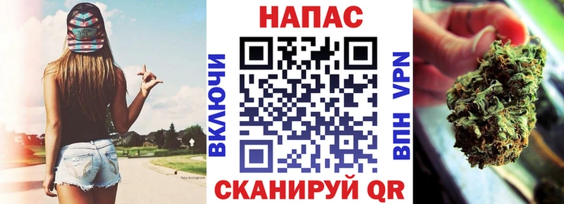 Конопля гибрид  где купить наркоту  Ставрополь 